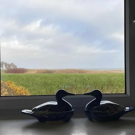 Daire Haus Friedeburg Goedeke Sylt